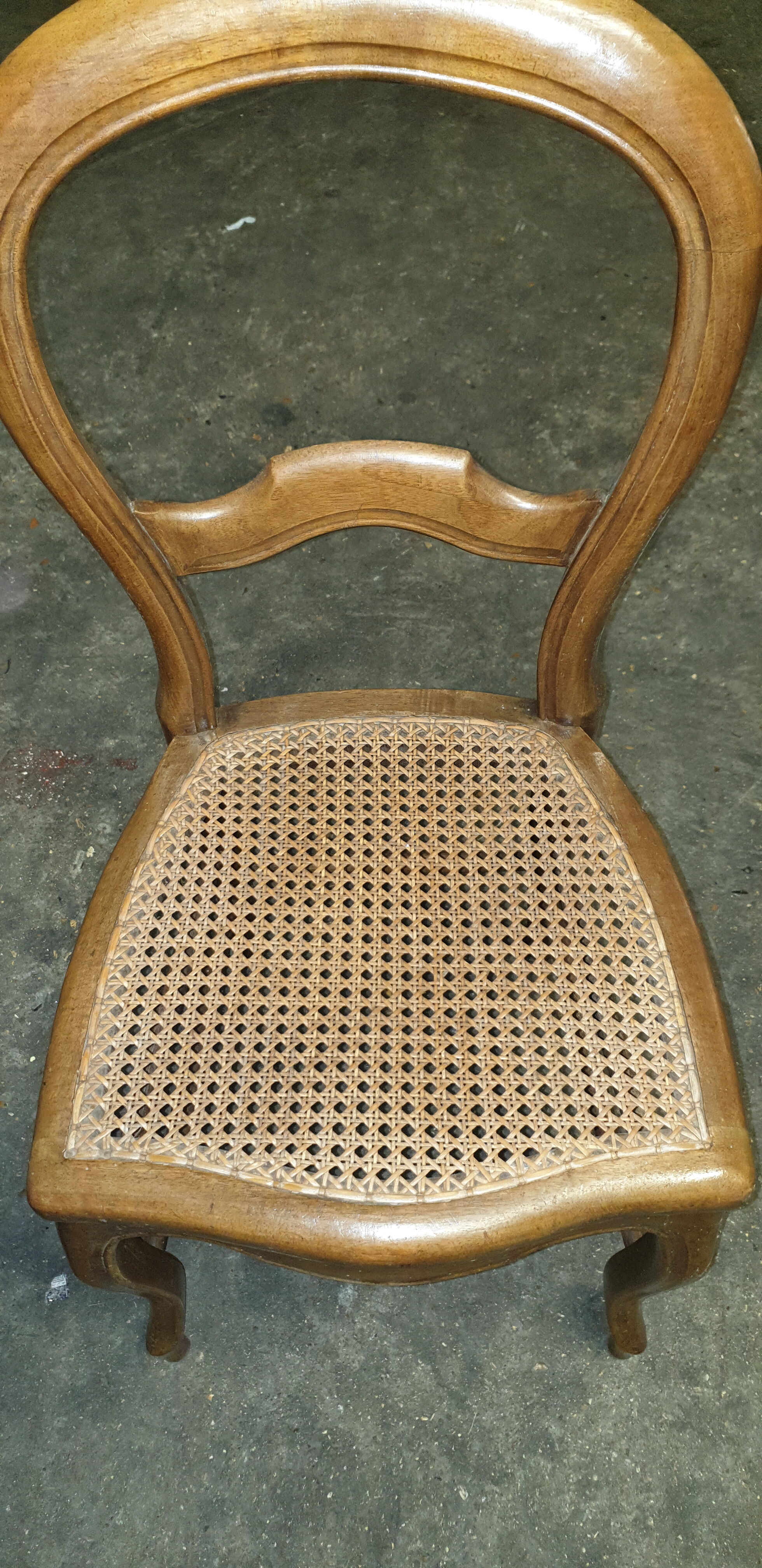 Pair of louis Philippe chairs