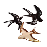 Birds
