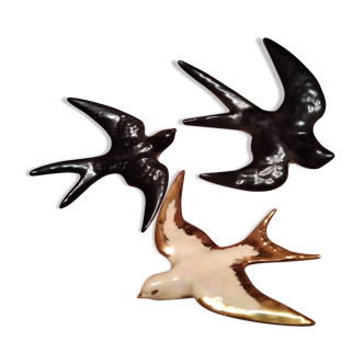 Birds
