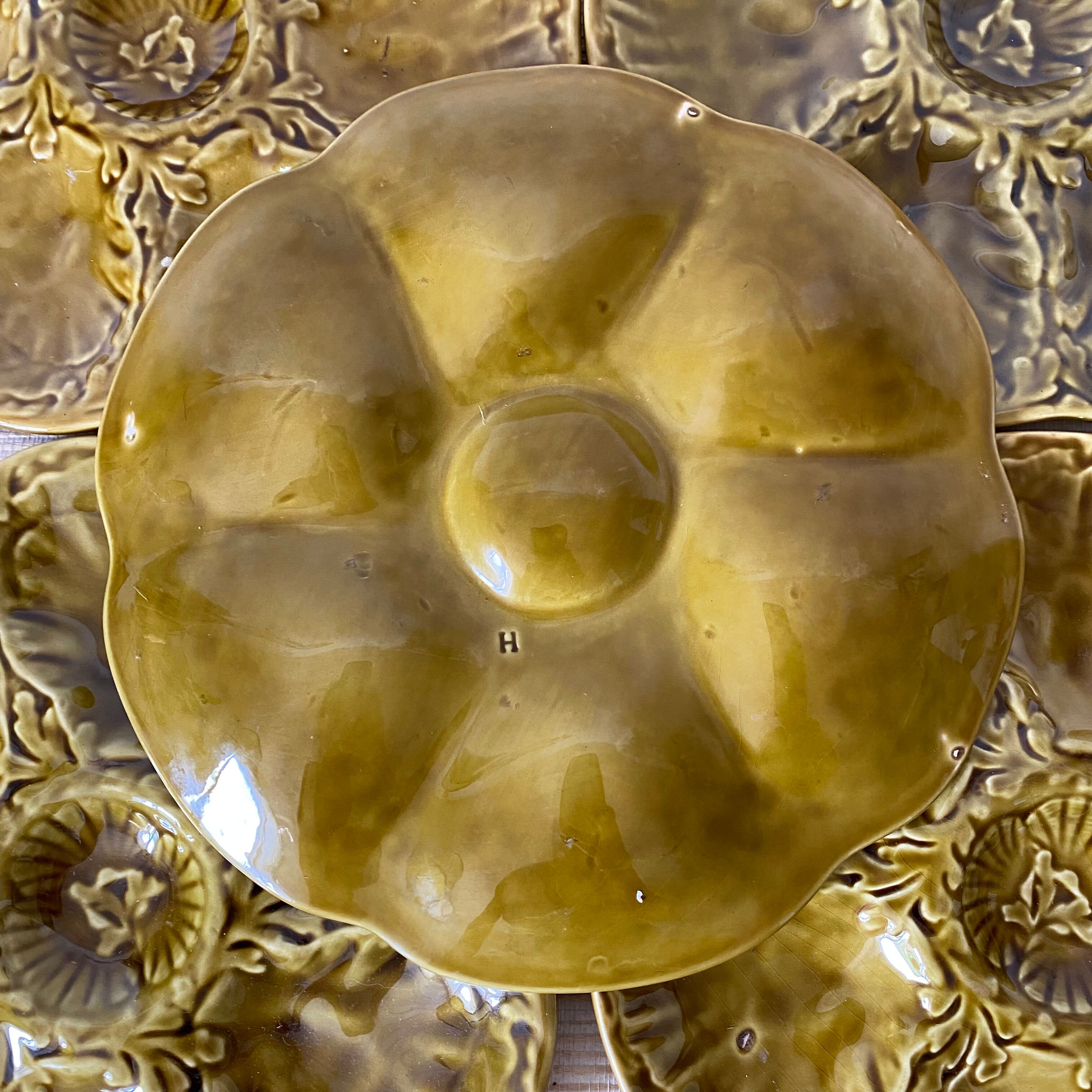 Oyster plates in slip, Gien ceramics