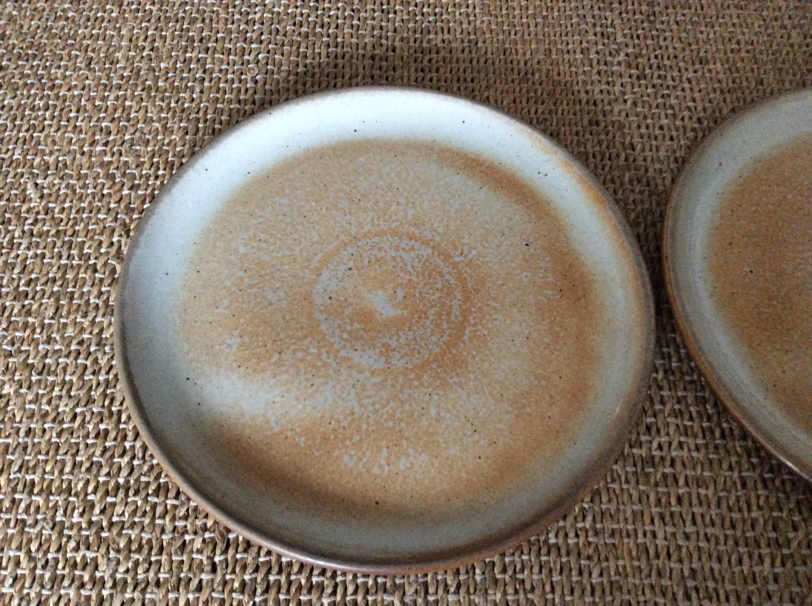 2 stoneware dinner plates