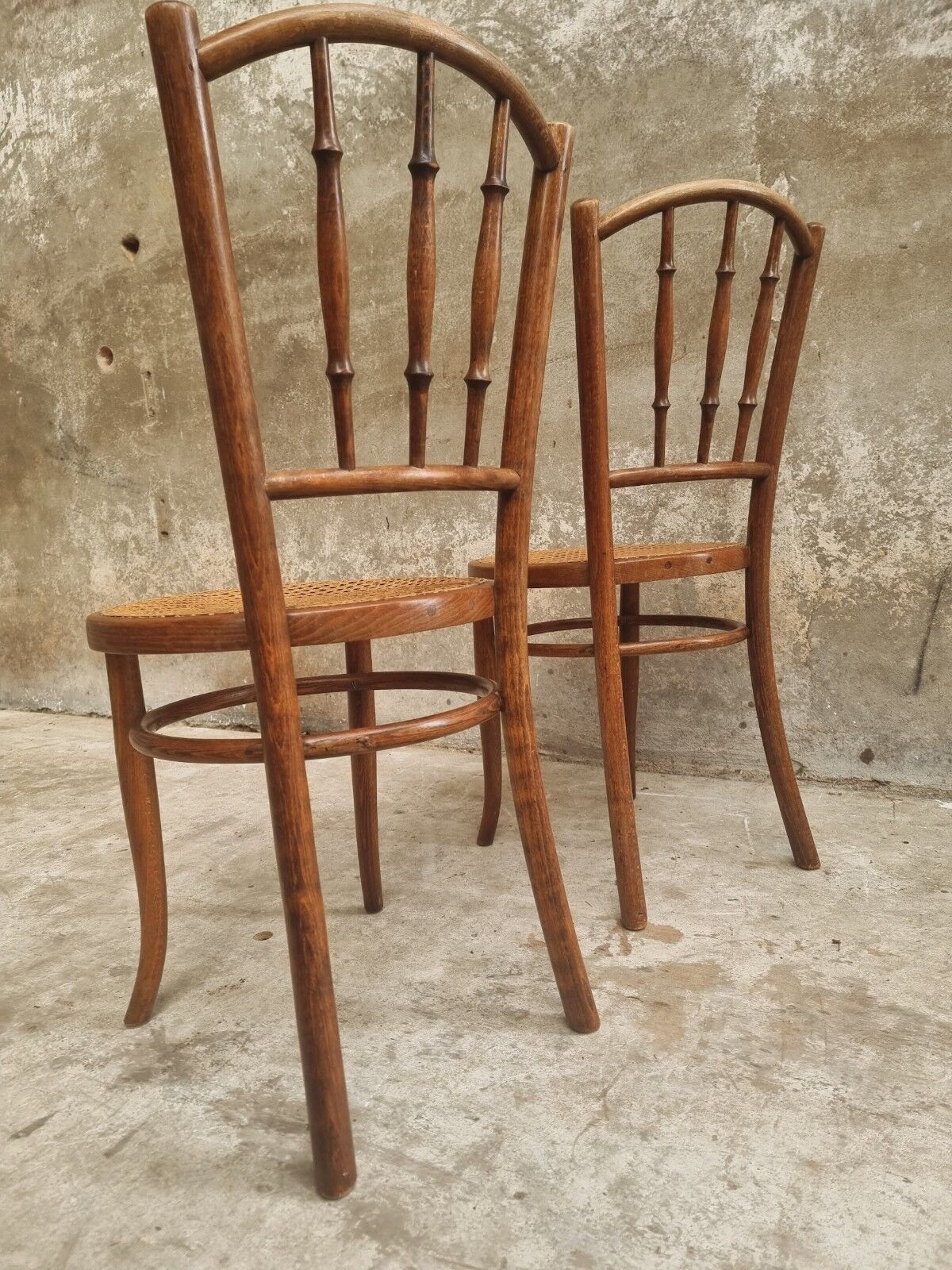 Antique chairs by Fischel