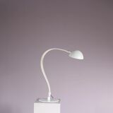 1970s “Flex” floor lamp by Elio Martinelli for Martinelli, Italy