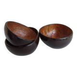 Coconut bowls