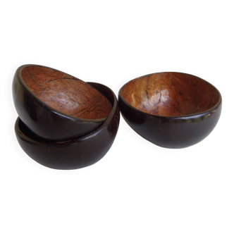 Coconut bowls