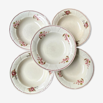 Set of 5 hollow earthenware plates