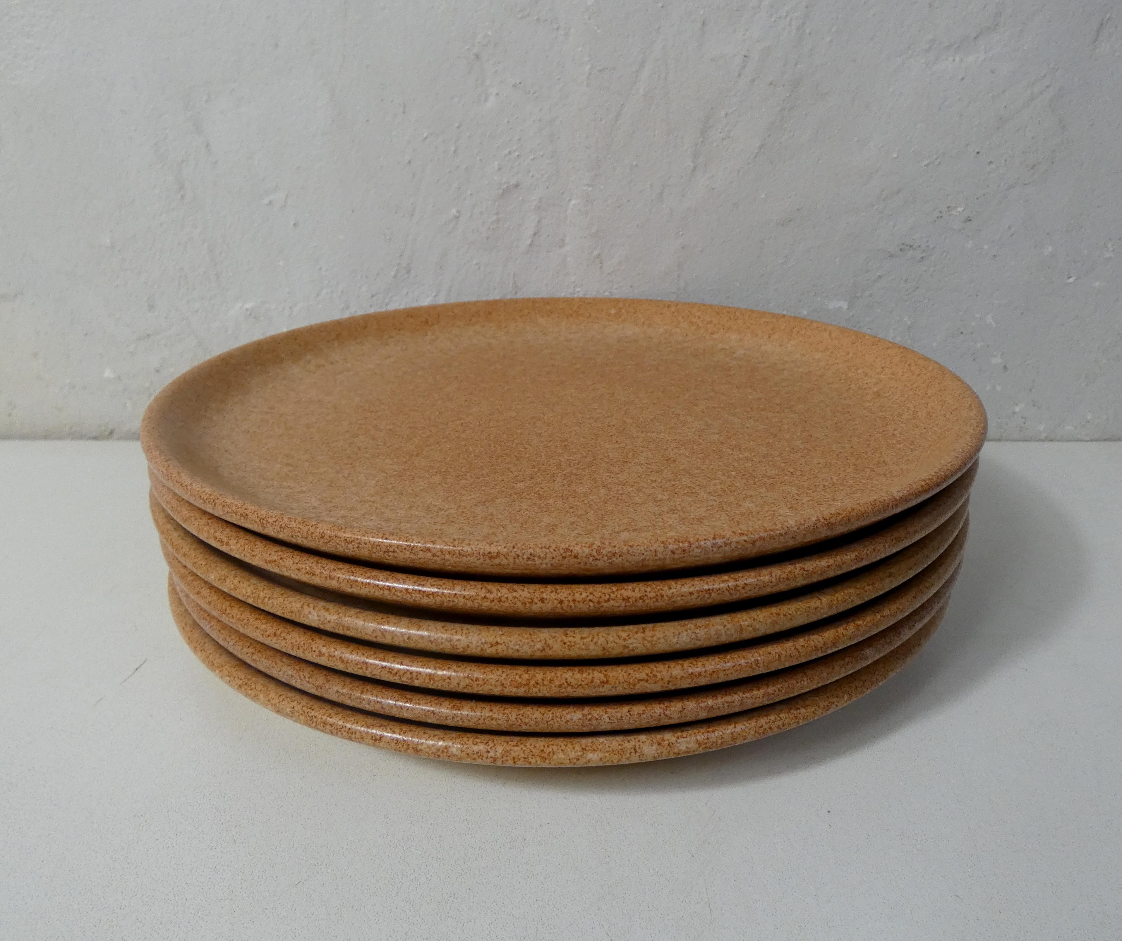 6 flat stoneware plates