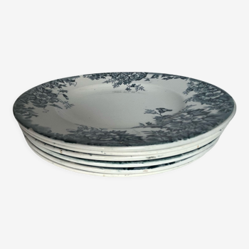 6 iron earth dessert plates