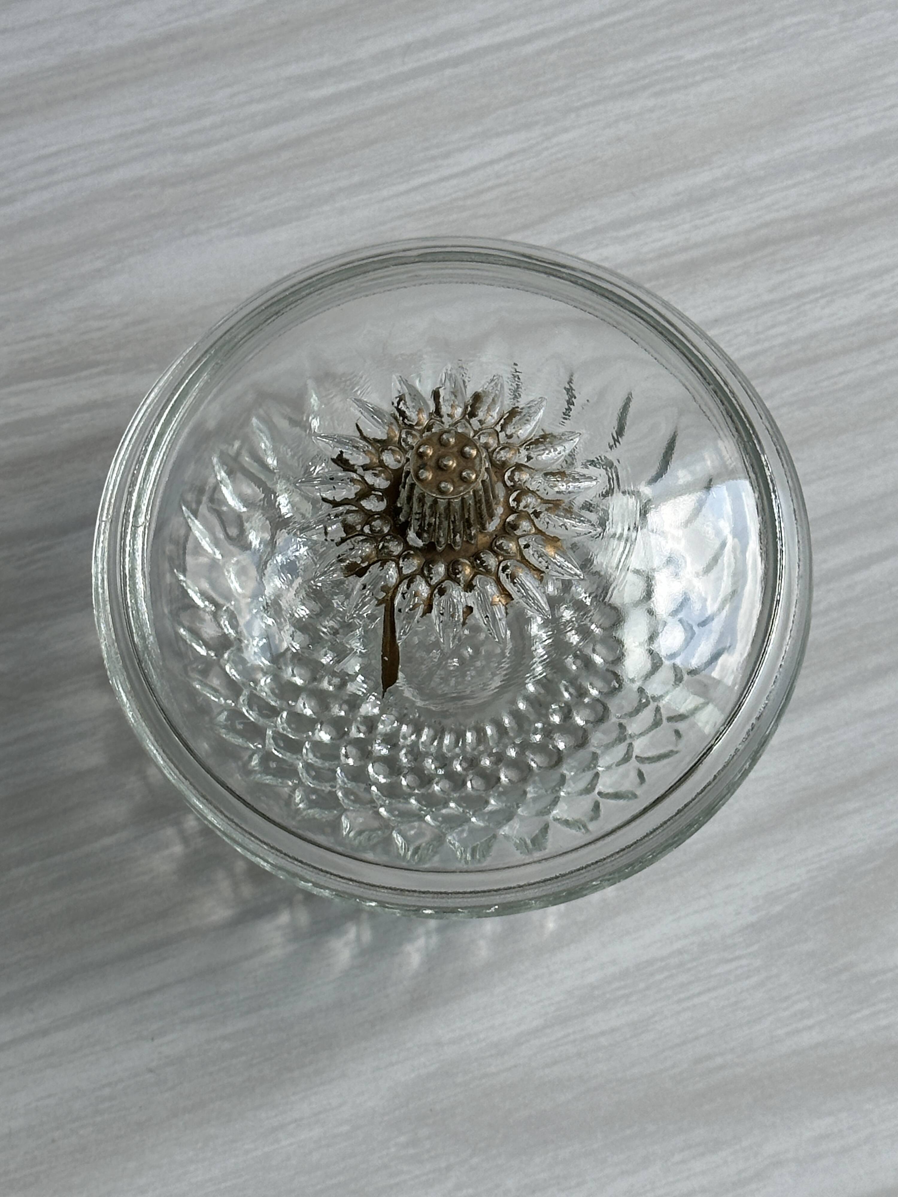 Sugar bowl box with glass lid floral decoration.