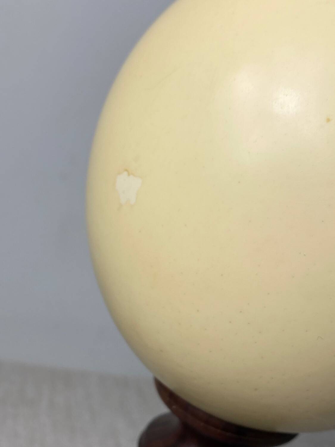 Wooden and ostrich egg lamp base