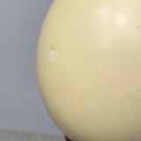 Wooden and ostrich egg lamp base