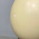 Wooden and ostrich egg lamp base
