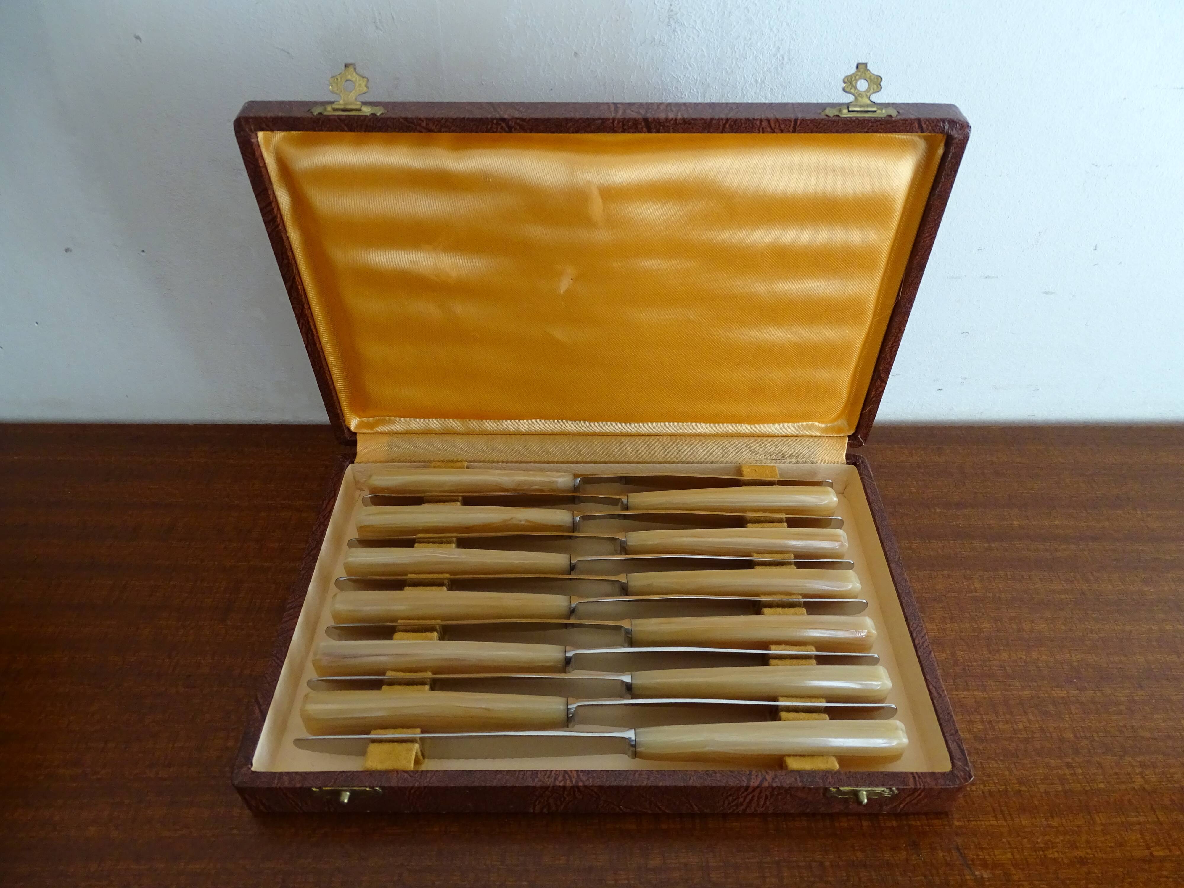 12 couteaux anciens inox vintage en écrin