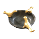 3 gold bird empty pocket