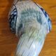 Parrot vintage pottery erandi tonala mexico
