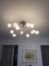 HEVEA suspension from CVL