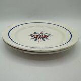 Lot vintage plate