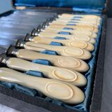 Box of 12 table knives Napoleon III XIXth