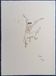 Jean cocteau : le picador - lithographie signée