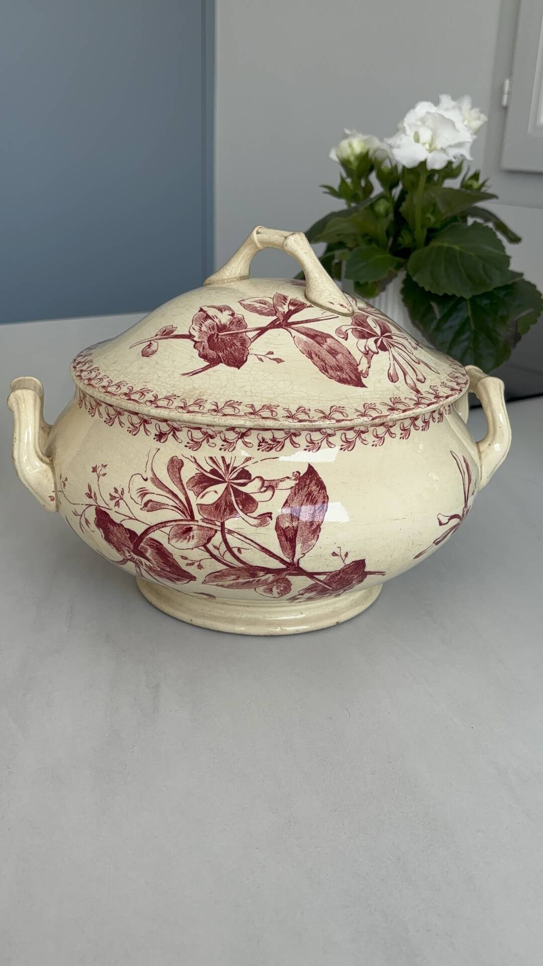 Red earthenware soup tureen, Gien factory, honeysuckle model.