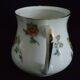 Limoges sugar bowl Michelaud freres exotic bird motif “indiana”