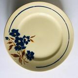 Badonvillers flat plates