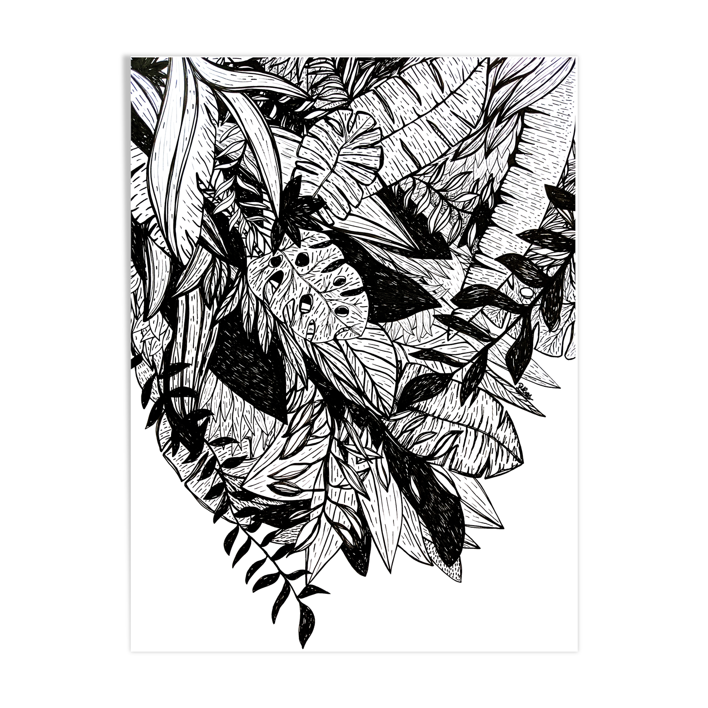 White and black jungle illustration