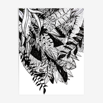 White and black jungle illustration