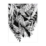 White and black jungle illustration