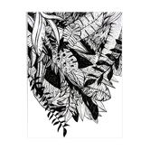 White and black jungle illustration