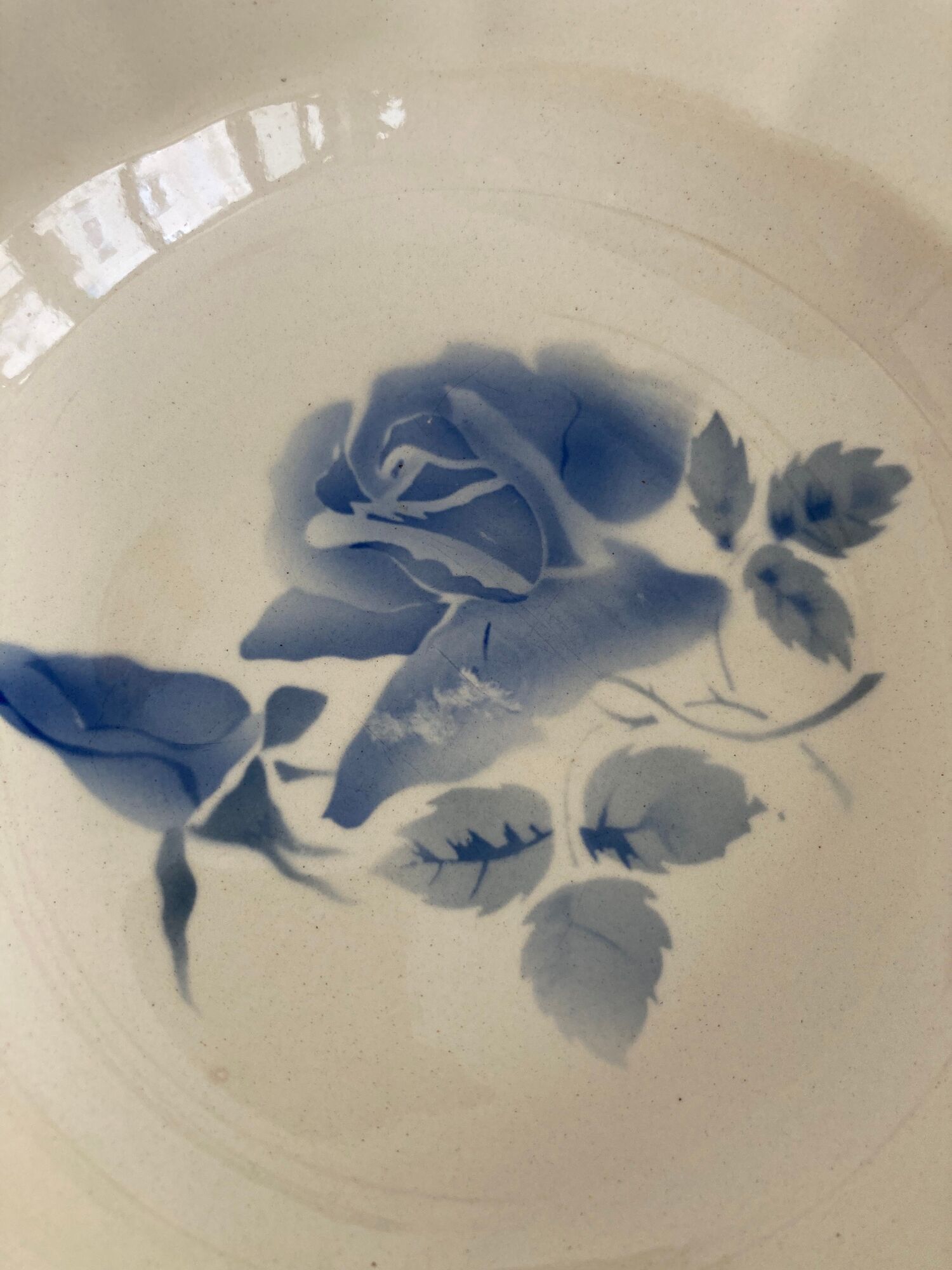 Set of 9 hollow plates Blue Roses Digoin Sarreguemines