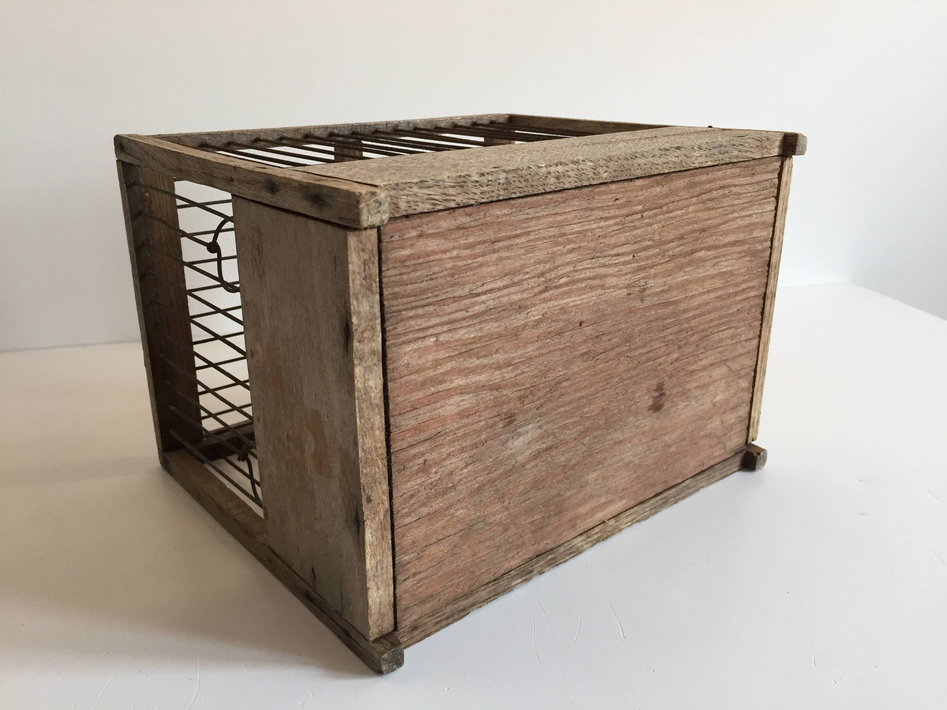 Old bird cage in wood and steel
