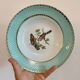 Set of 8 hollow plates vinatge with bird decorations