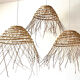 Date palm suspension