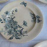 Set of ten plates in Longwy, botanical décor