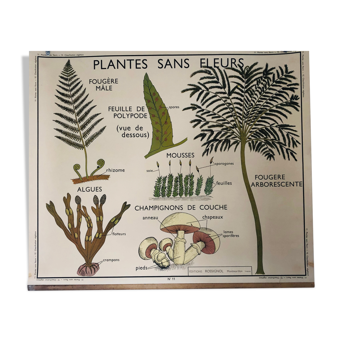 Former School Poster Rossignol Number 11