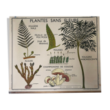 Former School Poster Rossignol Number 11