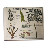 Former School Poster Rossignol Number 11