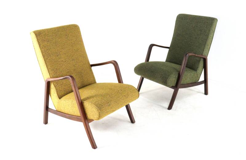 Knicos Armchair in Wengé with Green Upholstery | very rare dutch design
