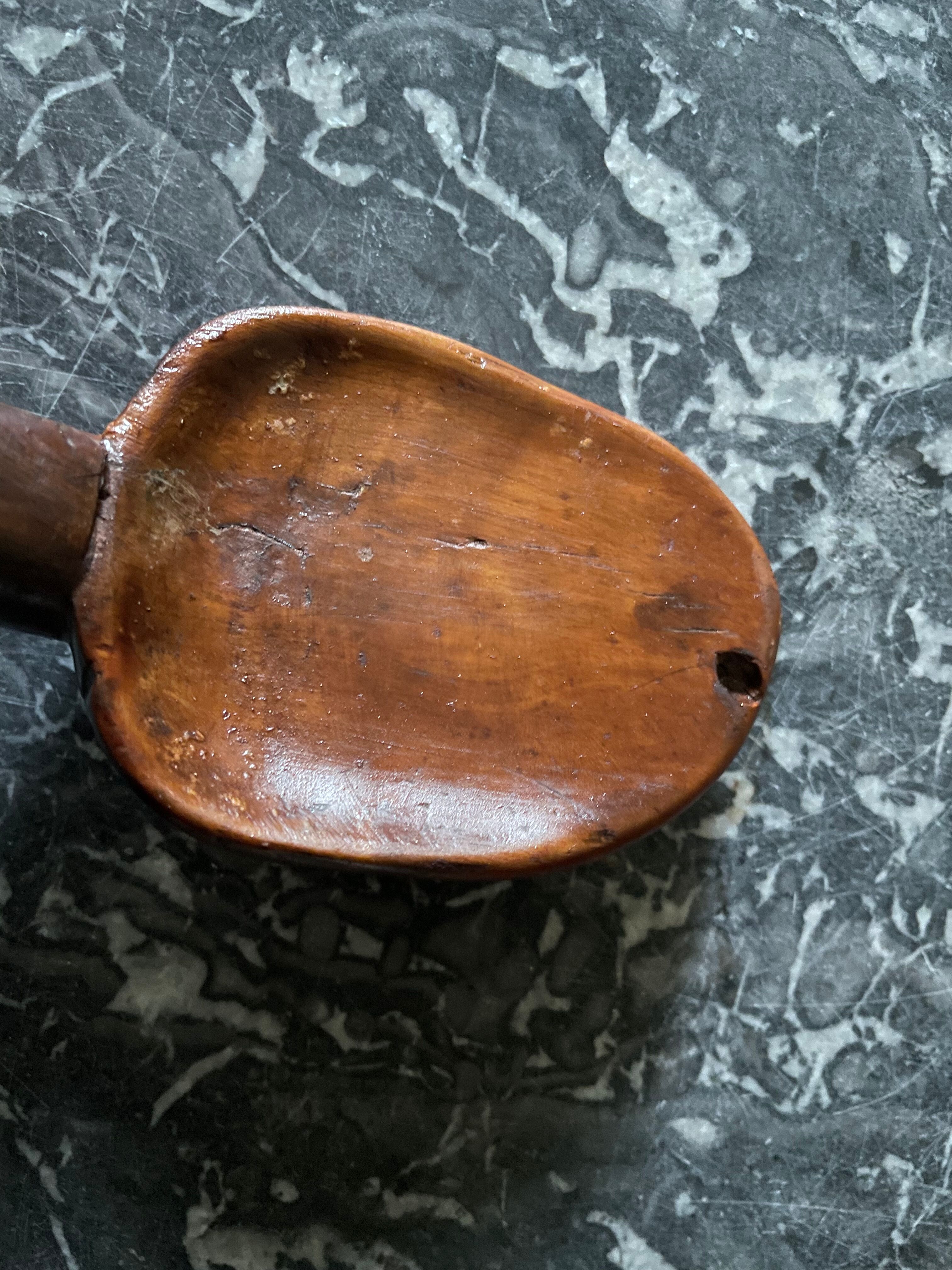 Raw wooden salad bowl