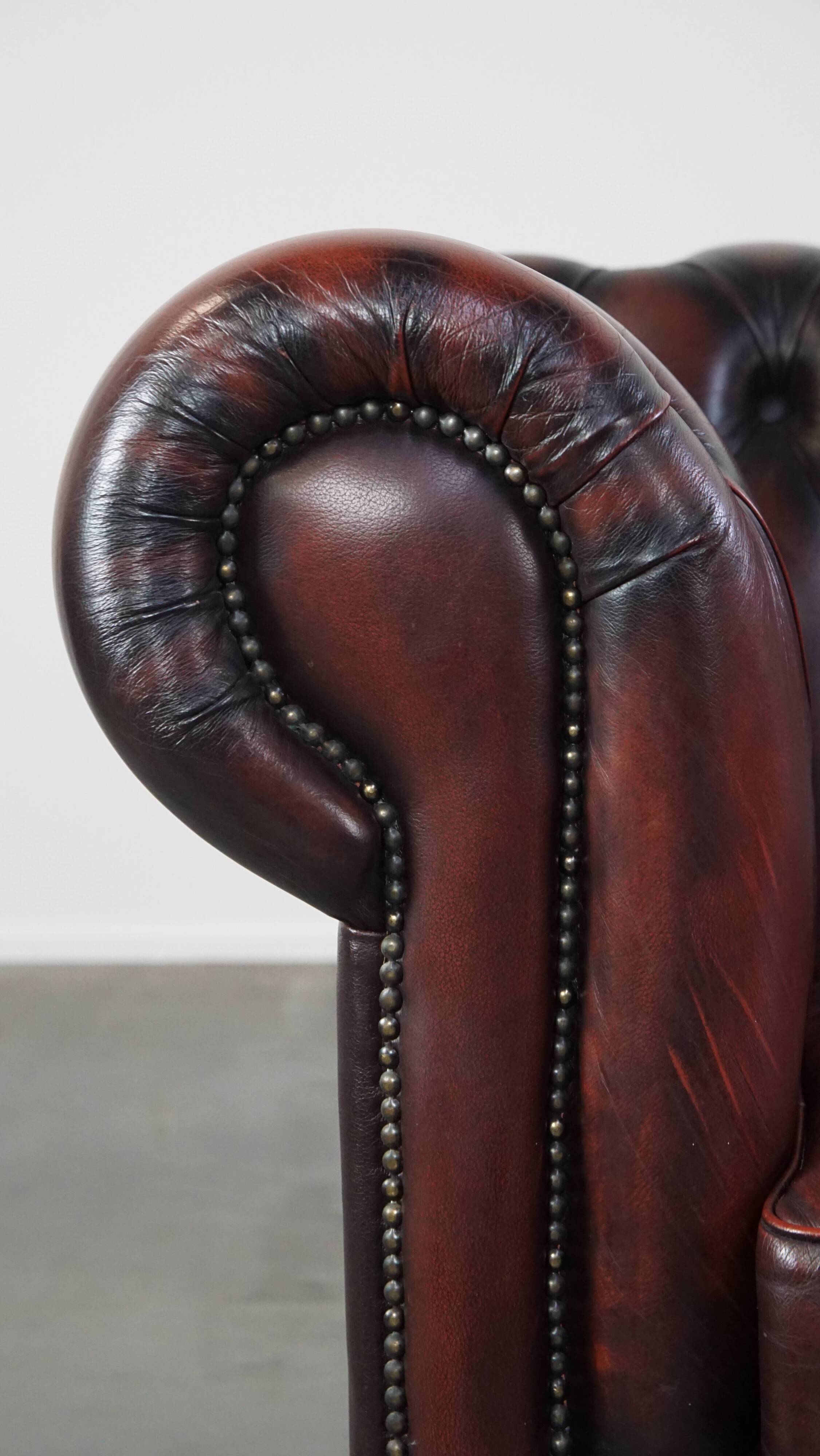Chesterfield 2.5 seater sofa in dark red cowhide leather