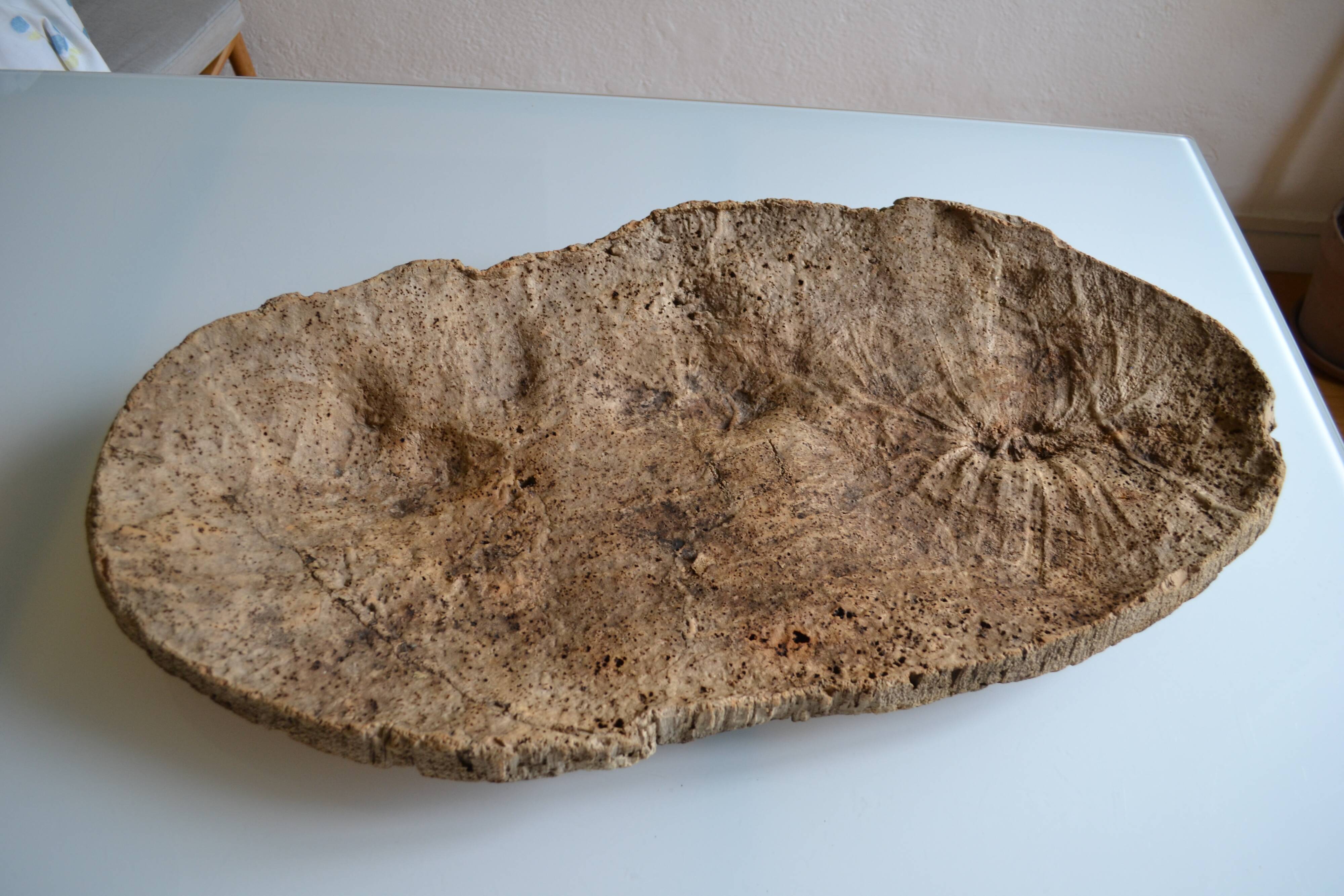Provençal couasse giant dish in cork oak bark 72 / 37 cm