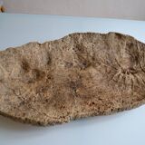 Couasse provençale plat géant en écorce de chêne liège 72 / 37 cm