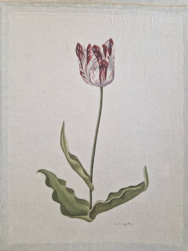 La Roche Laffitte (Born in 1943) - Watercolour drawing on silk - Tulip