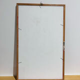 Cynorrondon and red ginseng pharmacy herbarium frame