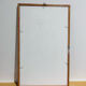 Cynorrondon and red ginseng pharmacy herbarium frame