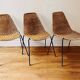 Ensemble de 5 chaises "Basket" par Gianfranco Legler, années 1950