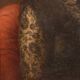 Old painting signed Roberto Fontana, oil on canvas, 19th century.