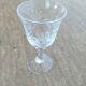 Duo of liqueur glasses