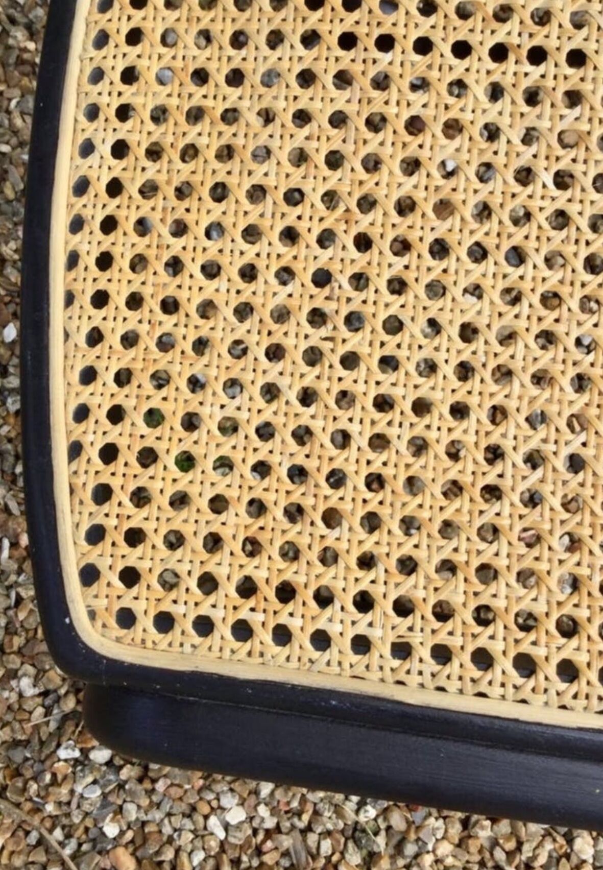 Baumann sled with caning chairs